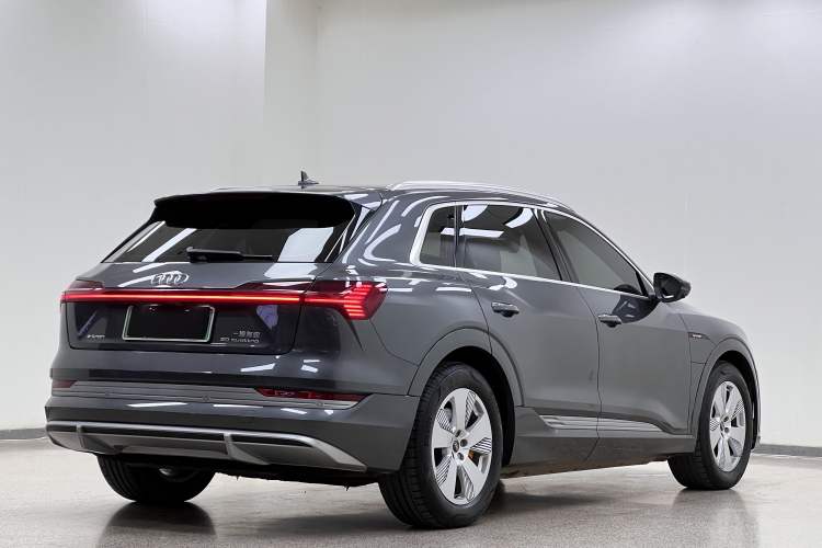 Used Audi e-tron 2021 50 quattro Luxury Edition Exterior 9