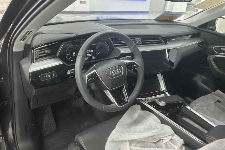 Used Audi e-tron 2021 50 quattro Luxury Edition Interior 1
