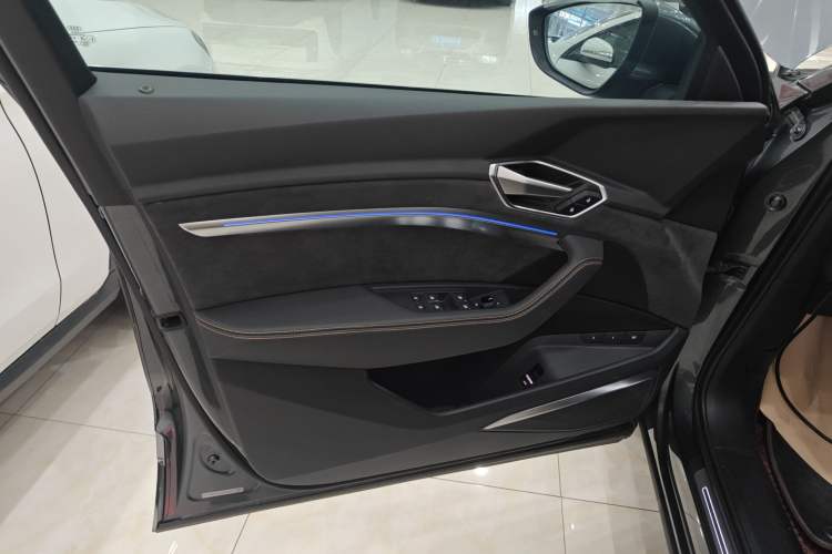 Used Audi e-tron 2021 50 quattro Prestige Edition Left Front Door Interior