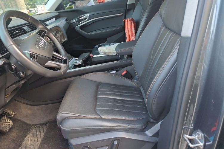 Used Audi e-tron 2021 50 quattro Luxury Edition Left Front Seat