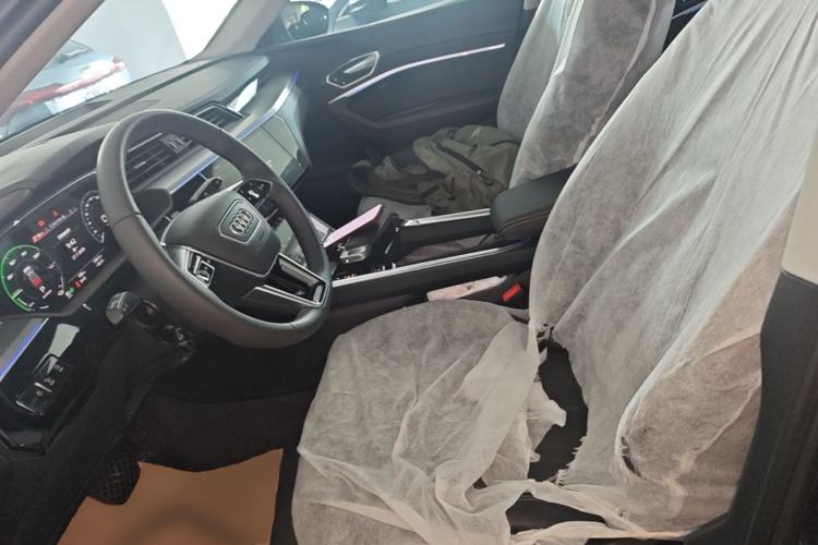 Used Audi e-tron 2021 50 quattro Luxury Edition Left Front Seat