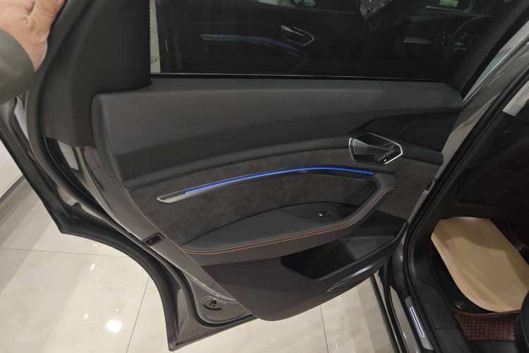 Used Audi e-tron 2021 50 quattro Prestige Edition Left Rear Door Interior