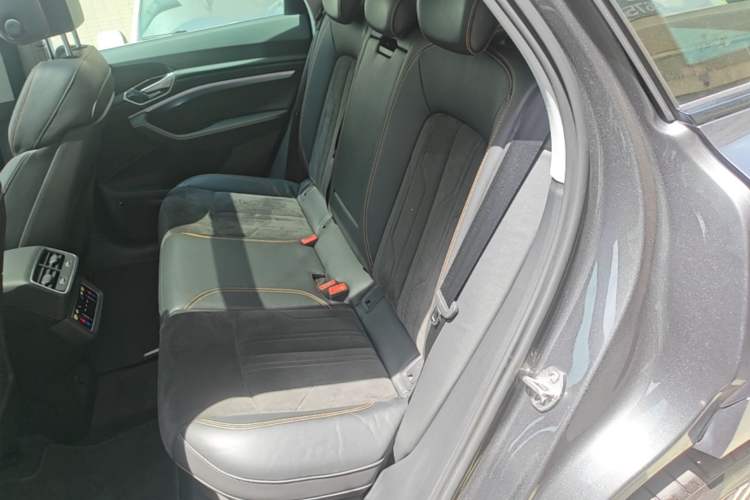 Used Audi e-tron 2021 50 quattro Luxury Edition Left Rear Seat