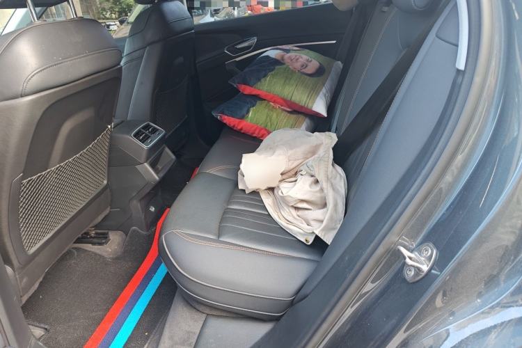 Used Audi e-tron 2021 50 quattro Luxury Edition Left Rear Seat