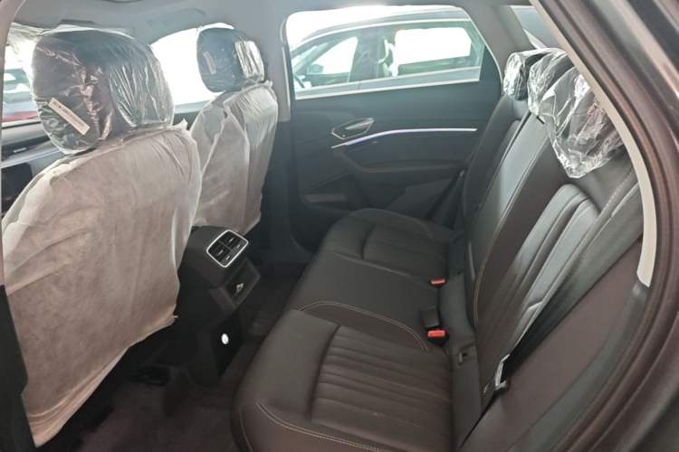 Used Audi e-tron 2021 50 quattro Luxury Edition Left Rear Seat