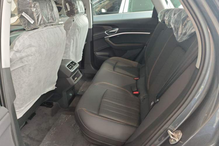 Used Audi e-tron 2021 50 quattro Luxury Edition Left Rear Seat