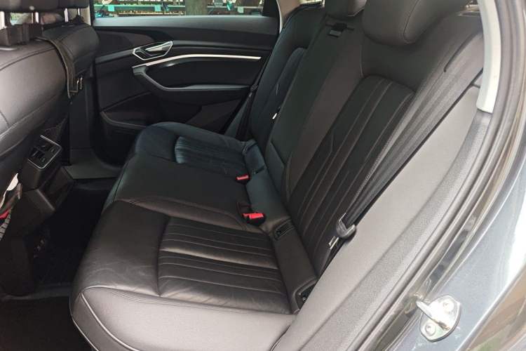 Used Audi e-tron 2021 Sportback 55 quattro Luxury Edition Left Rear Seat