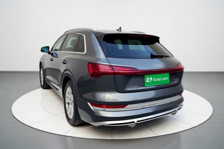 Used Audi e-tron 2021 50 quattro Luxury Edition Rear Left 45 Deg