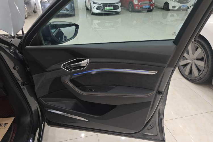 Used Audi e-tron 2021 50 quattro Prestige Edition Right Front Door Interior