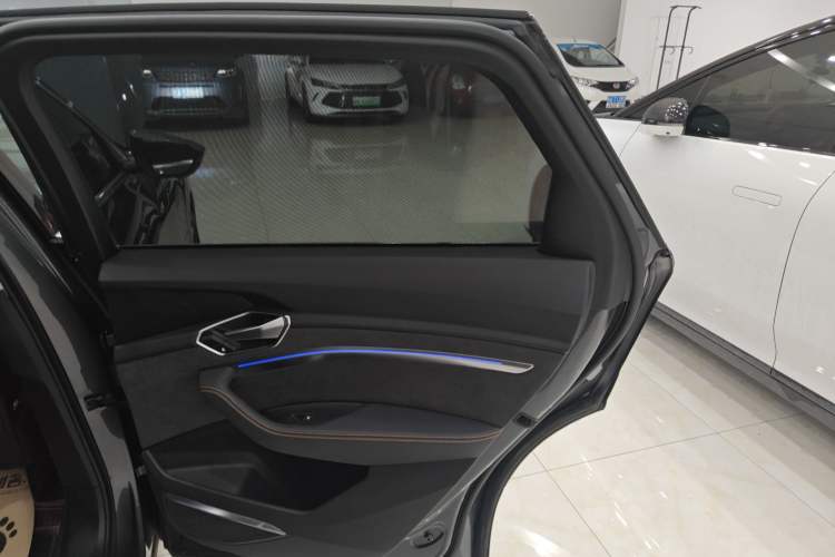 Used Audi e-tron 2021 50 quattro Prestige Edition Right Rear Door Interior