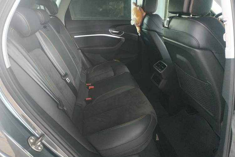 Used Audi e-tron 2021 50 quattro Prestige Edition Right Rear Seat