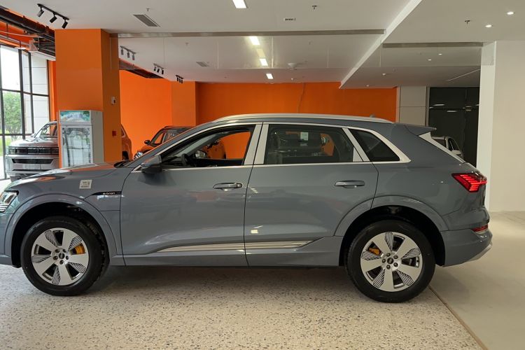 Used Audi e-tron 2021 50 quattro Luxury Edition Exterior 5