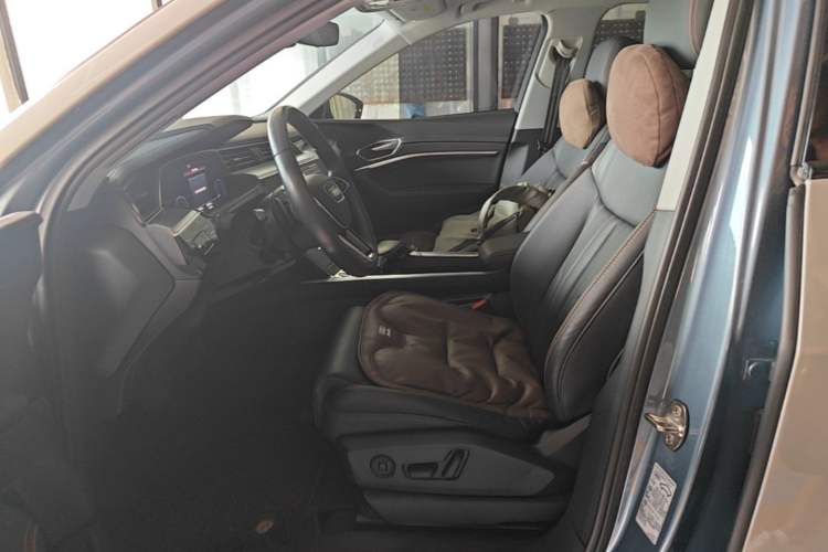 Used Audi e-tron 2021 50 quattro Luxury Edition Left Front Seat