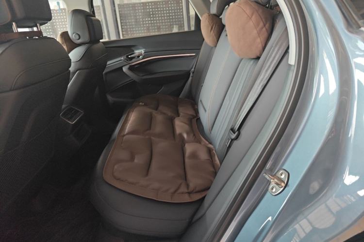 Used Audi e-tron 2021 50 quattro Luxury Edition Left Rear Seat