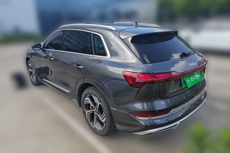 Used Audi e-tron 2021 50 quattro Prestige Edition Rear Left 45 Deg