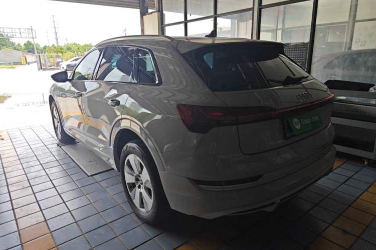 Used Audi e-tron 2021 50 quattro Luxury Edition Rear Left 45 Deg