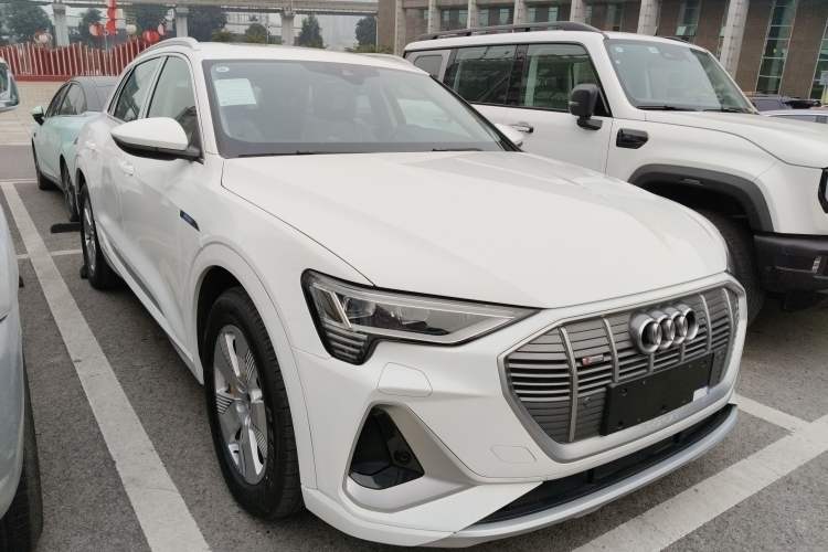 Used Audi e-tron 2021 50 quattro Luxury Edition Exterior 1