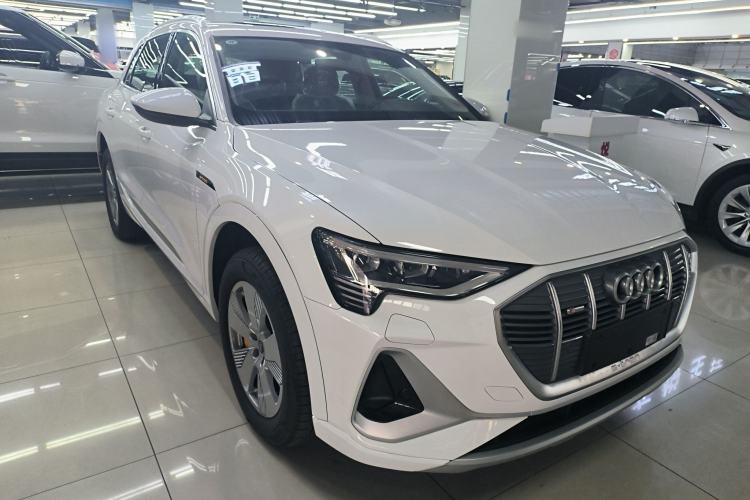 Used Audi e-tron 2021 50 quattro Luxury Edition Exterior 2