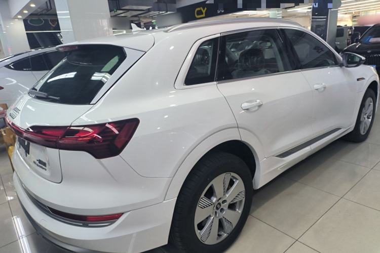 Used Audi e-tron 2021 50 quattro Luxury Edition Exterior 5
