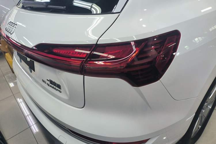 Used Audi e-tron 2021 50 quattro Luxury Edition Exterior 6