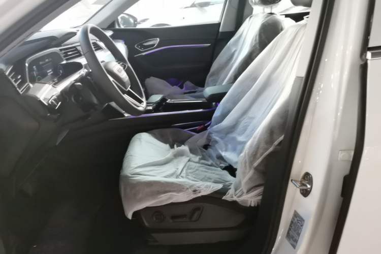 Used Audi e-tron 2021 50 quattro Luxury Edition Left Front Seat