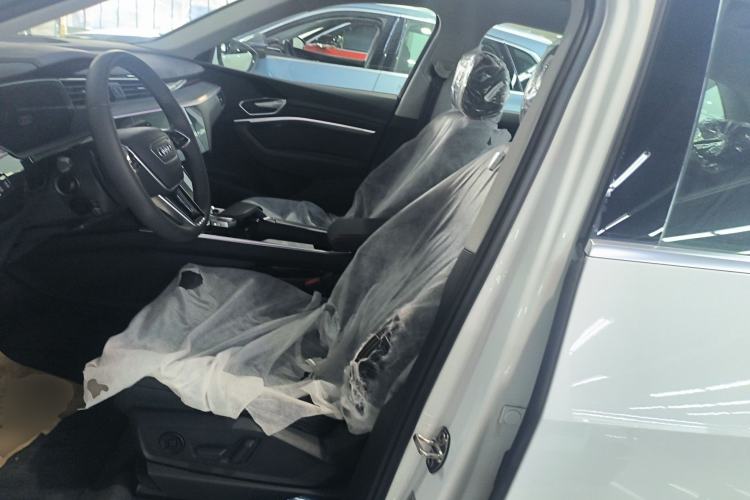 Used Audi e-tron 2021 50 quattro Luxury Edition Left Front Seat