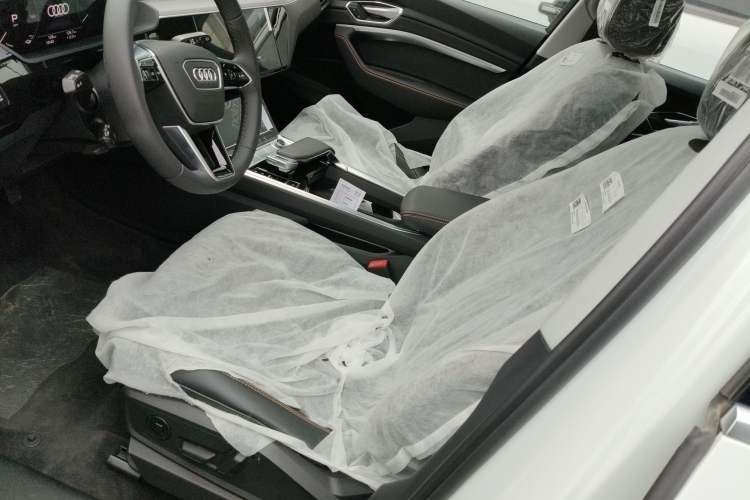 Used Audi e-tron 2021 50 quattro Luxury Edition Left Front Seat