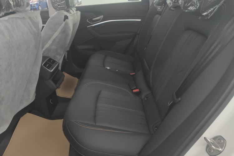 Used Audi e-tron 2021 50 quattro Luxury Edition Left Rear Seat