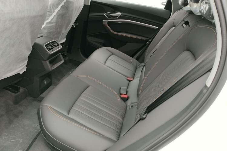 Used Audi e-tron 2021 50 quattro Luxury Edition Left Rear Seat