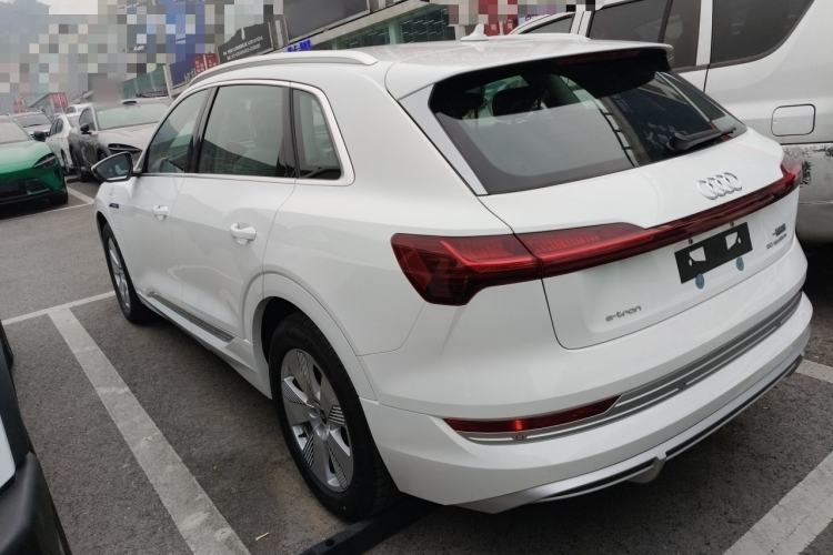 Used Audi e-tron 2021 50 quattro Luxury Edition Left Side