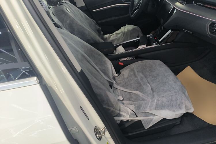 Used Audi e-tron 2021 50 quattro Luxury Edition Right Front Seat