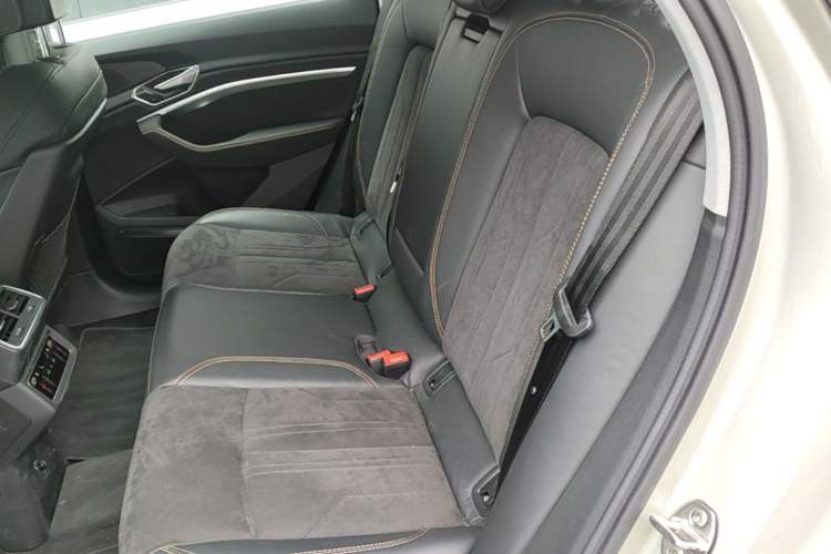 Used Audi e-tron 2021 50 quattro Prestige Edition Left Rear Seat
