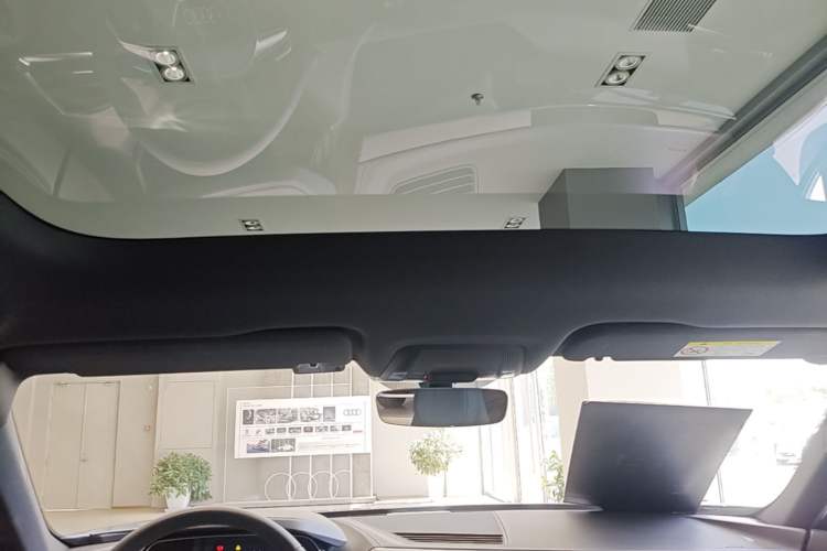 Used Audi e-tron GT 2023 Basic Model Headliner
