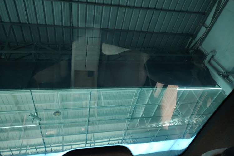 Used Audi E5 Sportback 2026 Flagship Quattro Model Headliner