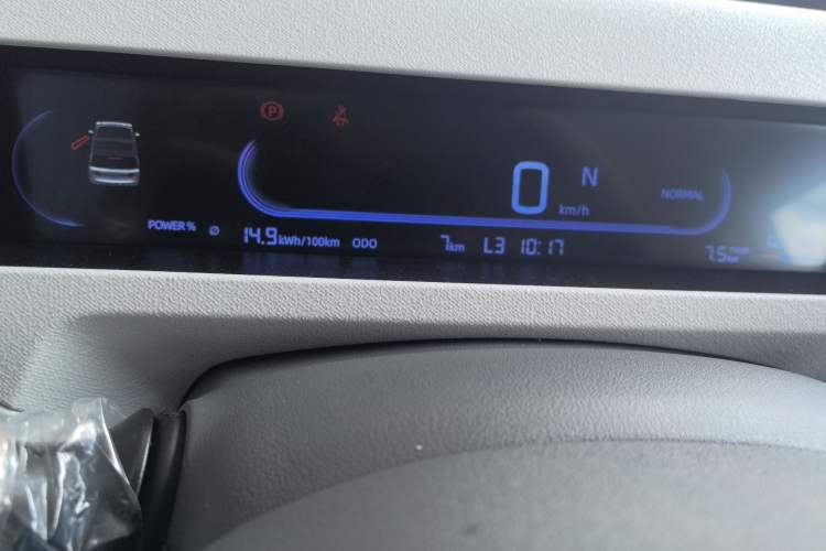Used Audi Panda 2024 Panda Mini 200km Endurance Bear Odometer Close Up