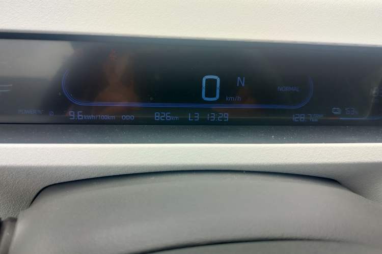 Used Audi Panda 2024 Panda Mini 200km Endurance Bear Odometer Close Up