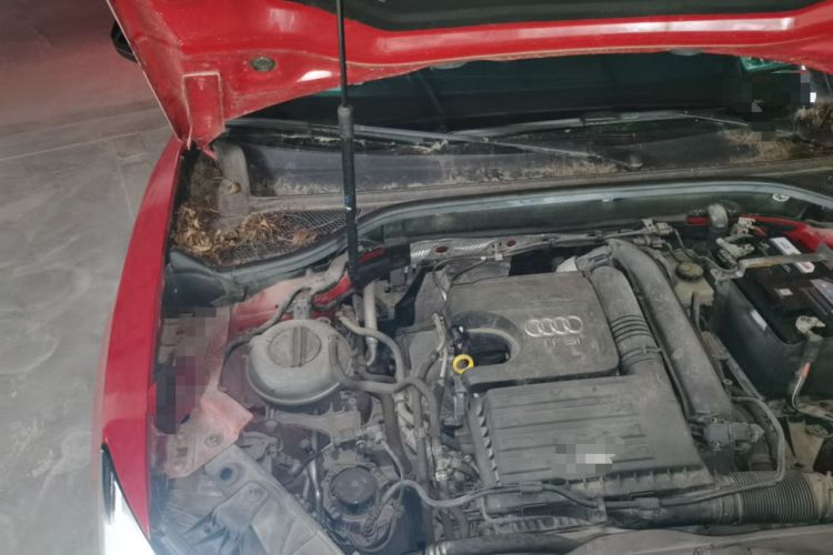 Used Audi Q2L 2018 35 TFSI Launch Exclusive Edition China VI Engine Bay Right