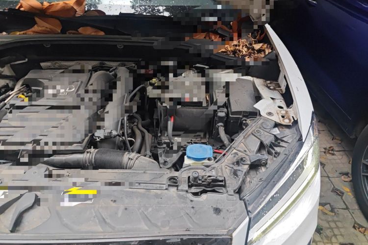 Used Audi Q2L 2018 35 TFSI Fashion Dynamic Version China VI Emission Standard Engine Bay Left