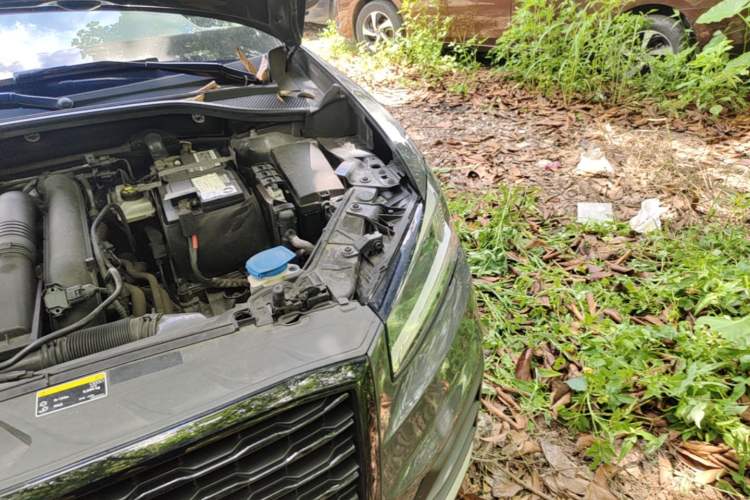 Used Audi Q2L 2020 35 TFSI Ambition Dynamic Edition Engine Bay Left