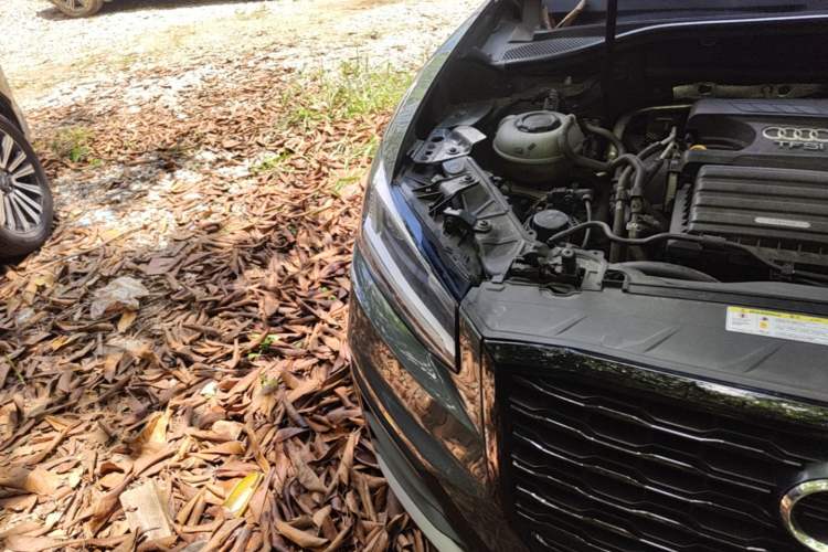 Used Audi Q2L 2020 35 TFSI Ambition Dynamic Edition Right Front Headlight