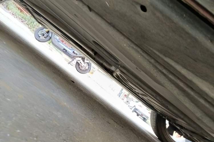 Used Audi Q2L 2020 35 TFSI Fashion Dynamic Model Chassis Front Right