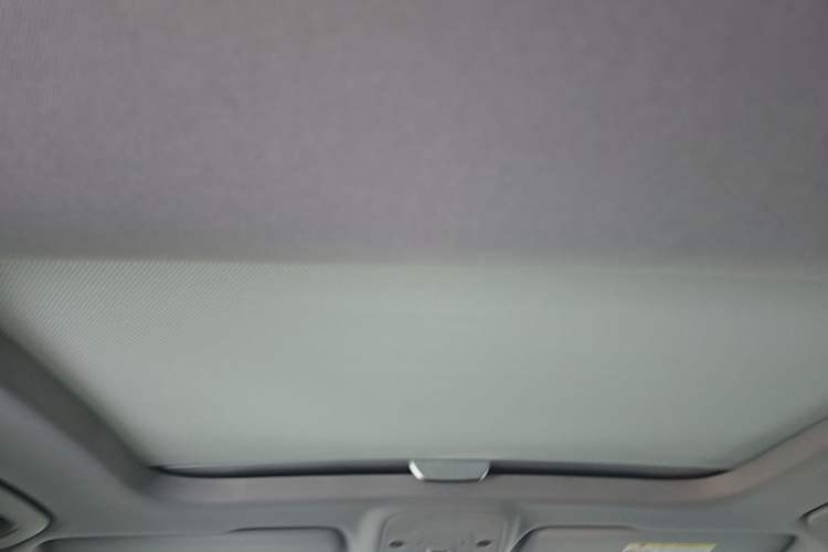 Used Audi Q2L 2020 35 TFSI Fashion Dynamic Model Headliner