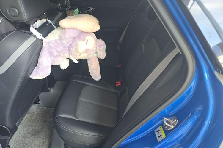 Used Audi Q2L 2020 35 TFSI Fashion Dynamic Model Left Rear Seat