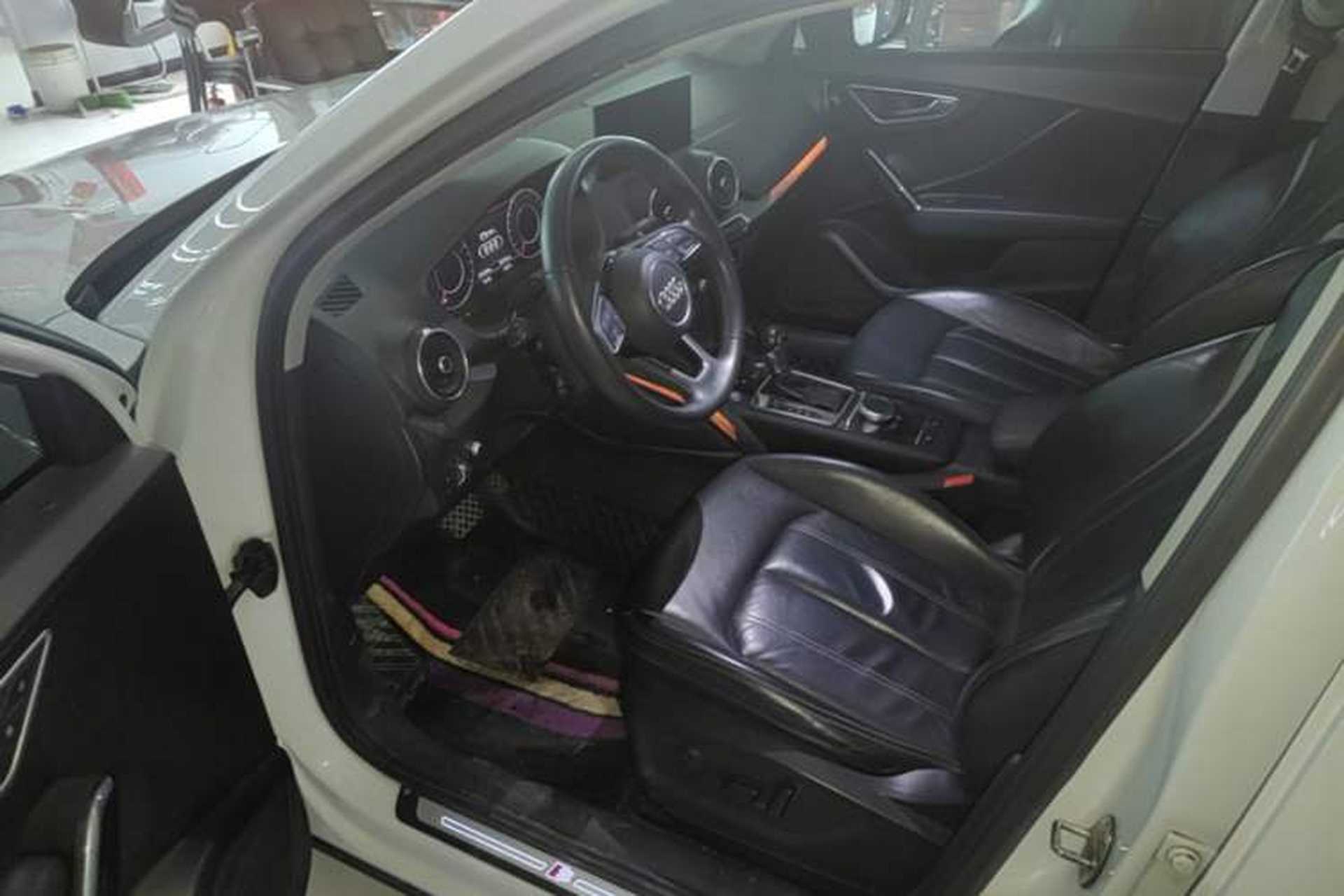 Used Audi Q2L 2020 35 TFSI Luxury Dynamic Edition Driver Seat