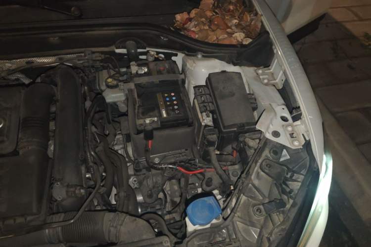 Used Audi Q2L 2020 35 TFSI Ambition Dynamic Edition Engine Bay Left