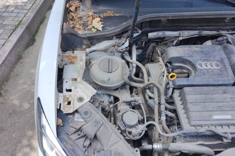 Used Audi Q2L 2020 35 TFSI Ambition Dynamic Edition Engine Bay Right