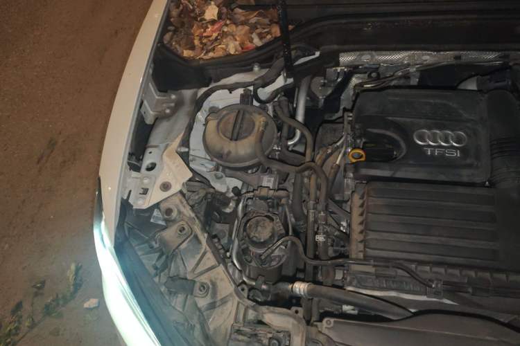 Used Audi Q2L 2020 35 TFSI Ambition Dynamic Edition Engine Bay Right