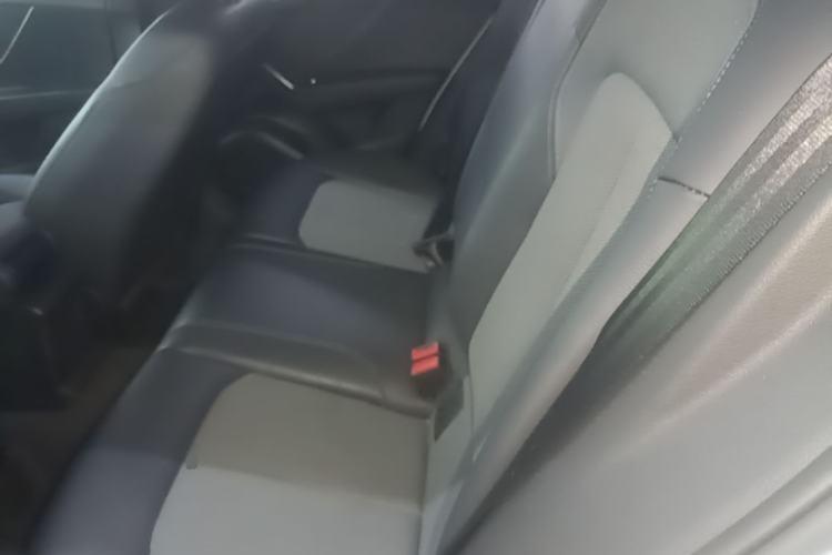 Used Audi Q2L 2020 35 TFSI Fashionable and Elegant Model Left Rear Seat