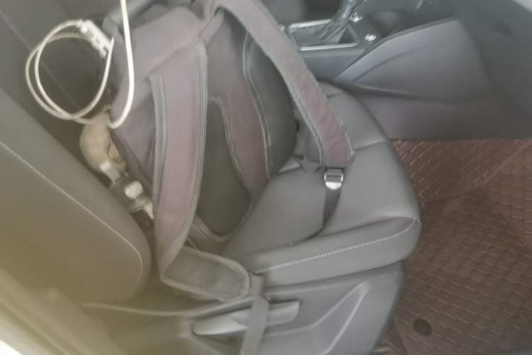 Used Audi Q2L 2020 35 TFSI Ambition Dynamic Edition Right Front Seat