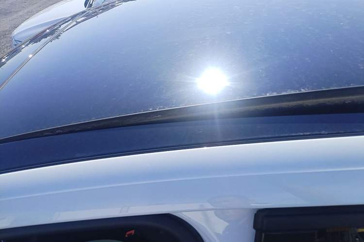 Used Audi Q2L 2020 35 TFSI Ambition Dynamic Edition Roof